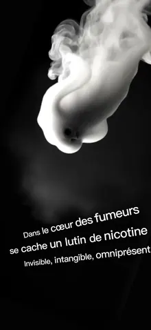 Risques du tabagisme