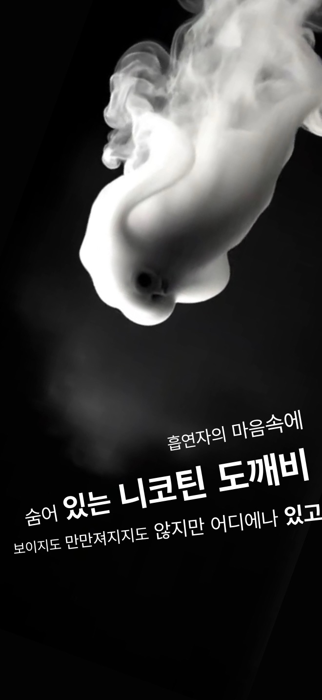 흡연의 위험