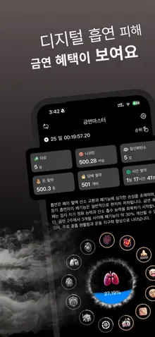 금연 정보