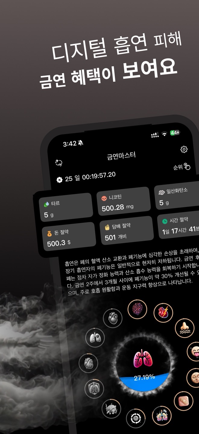 금연 정보
